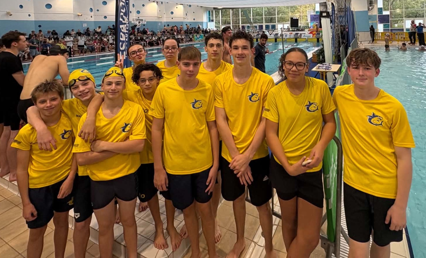 LES REQUINS COURONNAIS : LE PLUS BEAU DES TALENTS, C’EST DE CONTINUER À AVANCER !