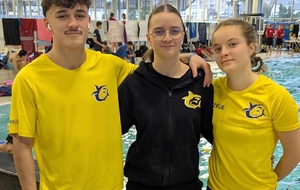 Régionaux  – Trois Requins, Trois Parcours, Une Même Fierté