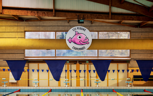 🆕🐟 CHANGEMENT DE LOGO CHEZ LES REQUINS COURONNAIS ! 🐟🆕