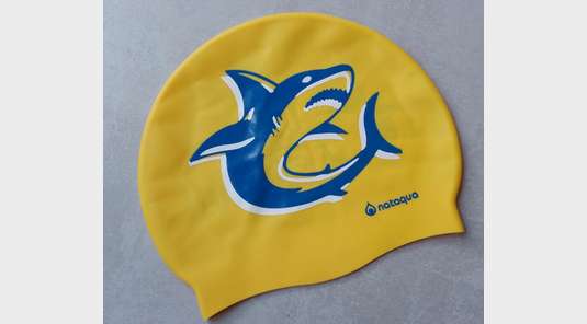 Le Bonnet des requins